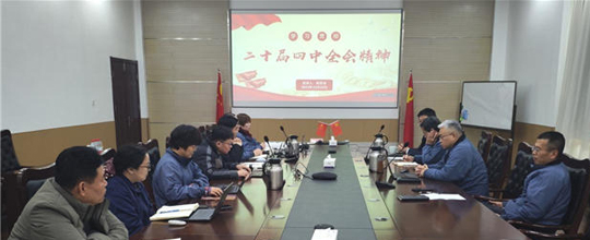 賽摩智能黨總支組織召開黨的二十屆四中全會(huì)精